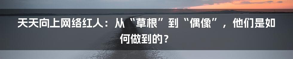 天天向上网络红人：从“草根”到“偶像”，他们是如何做到的？