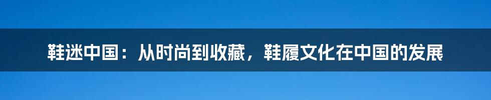 鞋迷中国:从时尚到收藏,鞋履文化在中国的发展