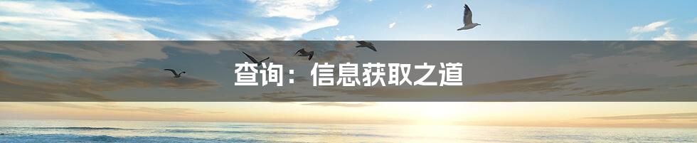 查询:信息获取之道