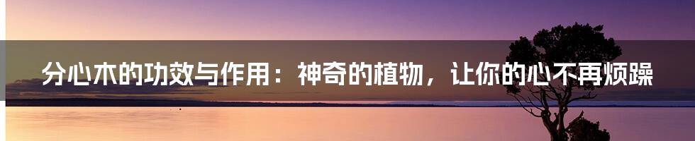 分心木的功效与作用:神奇的植物,让你的心不再烦躁