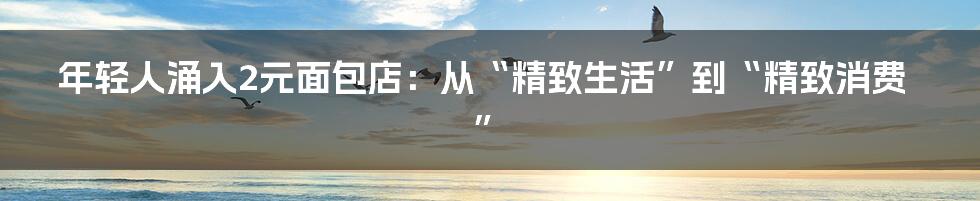 年轻人涌入2元面包店:从“精致生活”到“精致消费”