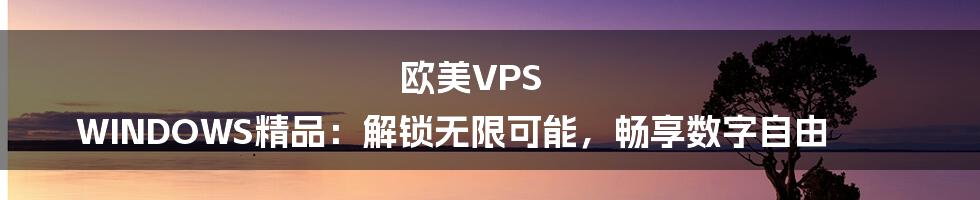 欧美VPS WINDOWS精品:解锁无限可能,畅享数字自由