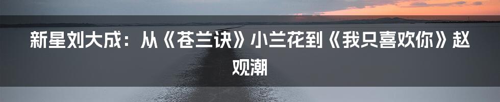 新星刘大成：从《苍兰诀》小兰花到《我只喜欢你》赵观潮