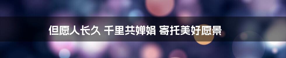 但愿人长久 千里共婵娟 寄托美好愿景