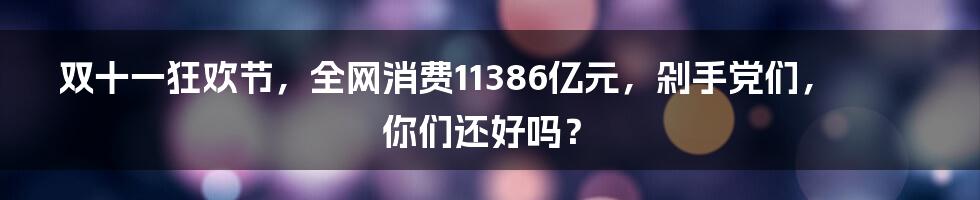 双十一狂欢节，全网消费11386亿元，剁手党们，你们还好吗？