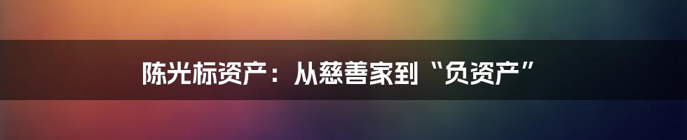 陈光标资产：从慈善家到“负资产”