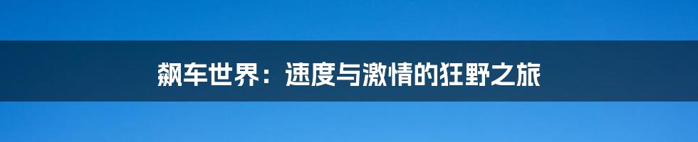 飙车世界:速度与激情的狂野之旅