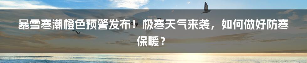 暴雪寒潮橙色预警发布!极寒天气来袭,如何做好防寒保暖?