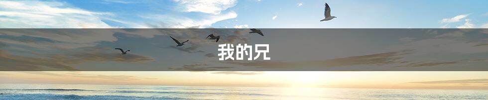 我的兄