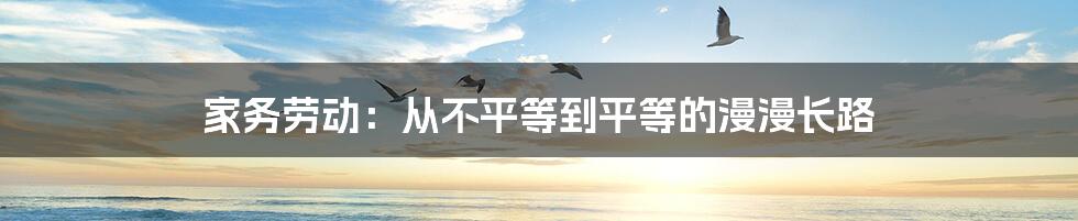 家务劳动:从不平等到平等的漫漫长路
