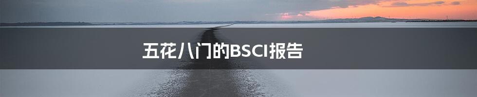 五花八门的BSCI报告