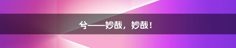 兮——妙哉，妙哉！