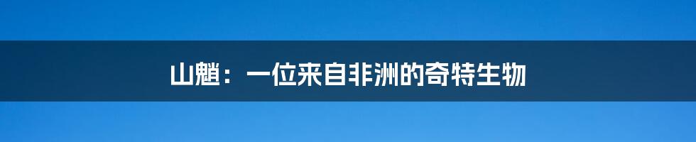 山魈:一位来自非洲的奇特生物