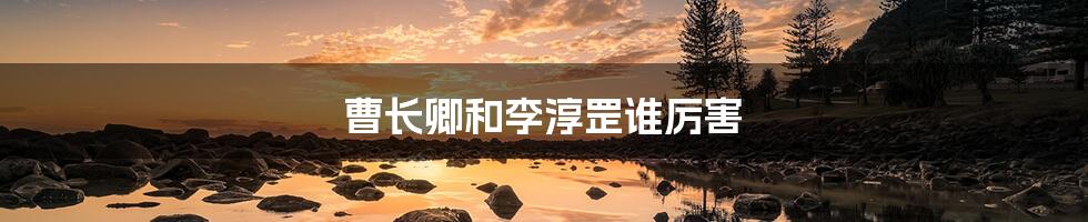 曹长卿和李淳罡谁厉害