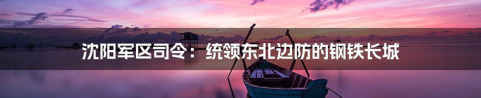 沈阳军区司令:统领东北边防的钢铁长城