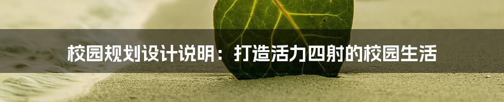 校园规划设计说明:打造活力四射的校园生活