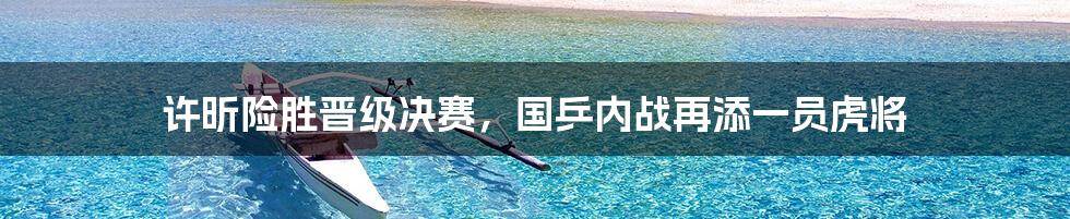 许昕险胜晋级决赛，国乒内战再添一员虎将