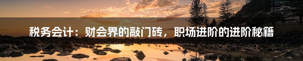 税务会计:财会界的敲门砖,职场进阶的进阶秘籍