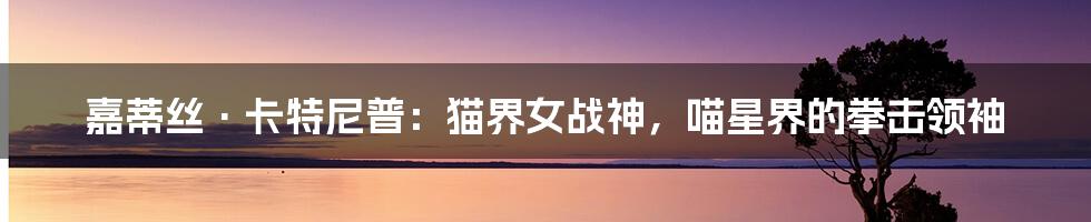 嘉蒂丝·卡特尼普：猫界女战神，喵星界的拳击领袖