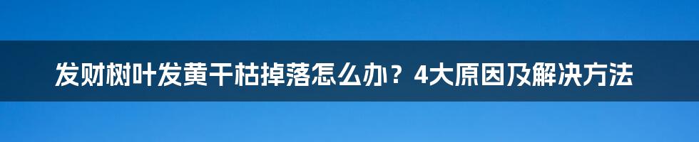 发财树叶发黄干枯掉落怎么办？4大原因及解决方法