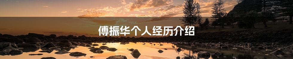 傅振华个人经历介绍