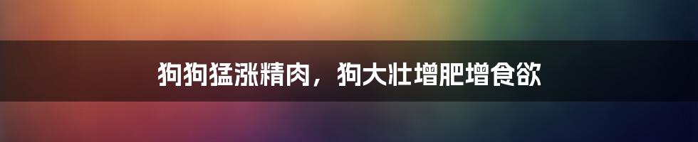 狗狗猛涨精肉,狗大壮增肥增食欲