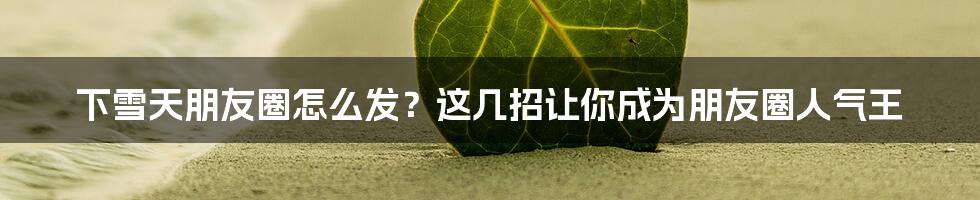 下雪天朋友圈怎么发？这几招让你成为朋友圈人气王