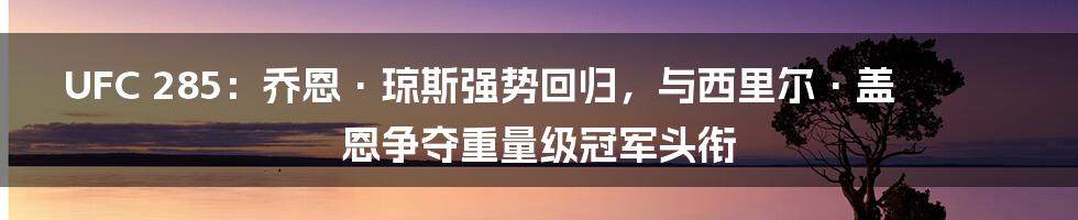 UFC 285：乔恩·琼斯强势回归，与西里尔·盖恩争夺重量级冠军头衔