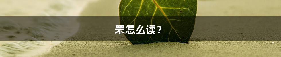 罘怎么读？