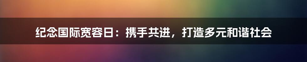 纪念国际宽容日：携手共进，打造多元和谐社会