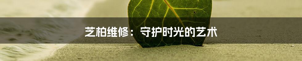 芝柏维修:守护时光的艺术