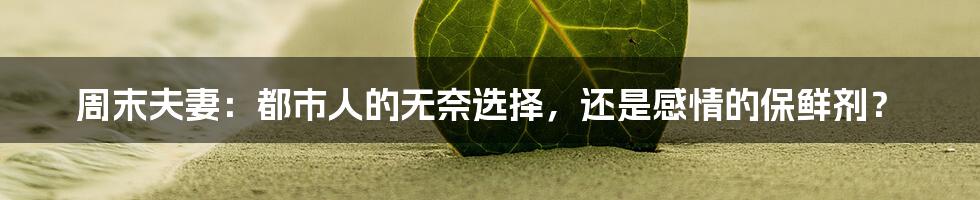 周末夫妻:都市人的无奈选择,还是感情的保鲜剂?
