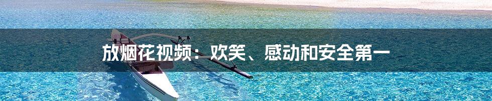 放烟花视频:欢笑、感动和安全第一
