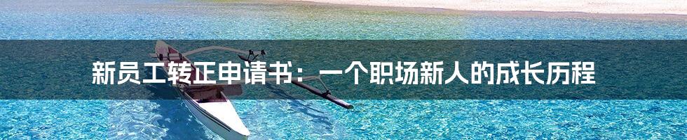 新员工转正申请书:一个职场新人的成长历程