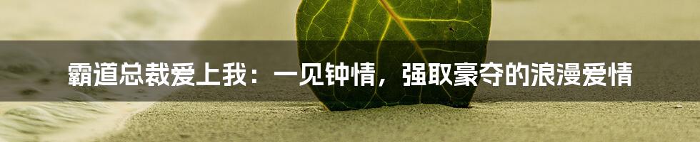 霸道总裁爱上我:一见钟情,强取豪夺的浪漫爱情
