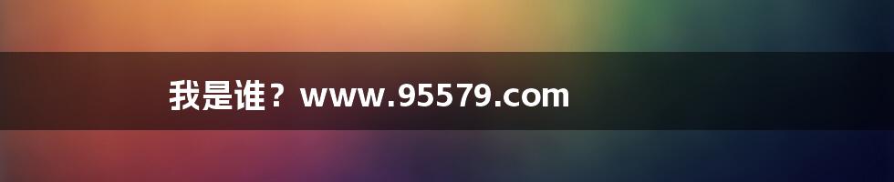 我是谁?www.95579.com