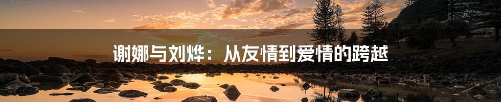 谢娜与刘烨:从友情到爱情的跨越