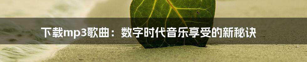 下载mp3歌曲:数字时代音乐享受的新秘诀