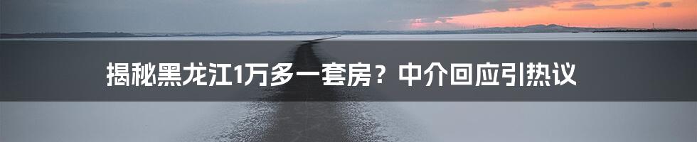 揭秘黑龙江1万多一套房？中介回应引热议