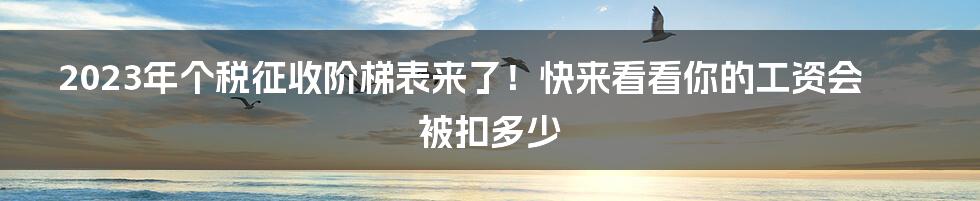 2023年个税征收阶梯表来了!快来看看你的工资会被扣多少