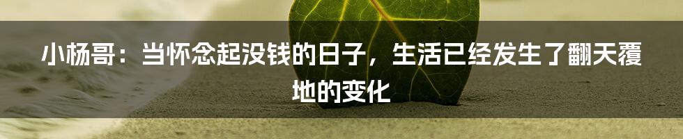 小杨哥：当怀念起没钱的日子，生活已经发生了翻天覆地的变化