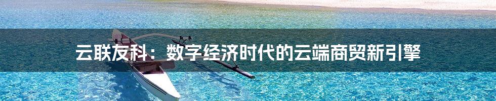 云联友科:数字经济时代的云端商贸新引擎