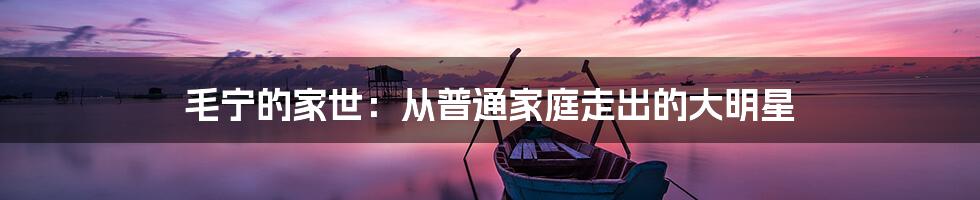 毛宁的家世:从普通家庭走出的大明星