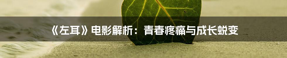 《左耳》电影解析：青春疼痛与成长蜕变