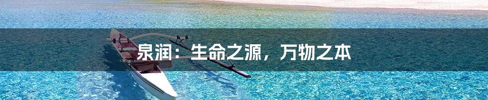 泉润：生命之源，万物之本