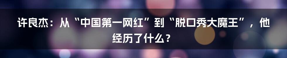 许良杰：从“中国第一网红”到“脱口秀大魔王”，他经历了什么？