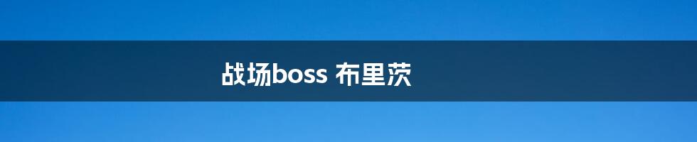 战场boss 布里茨