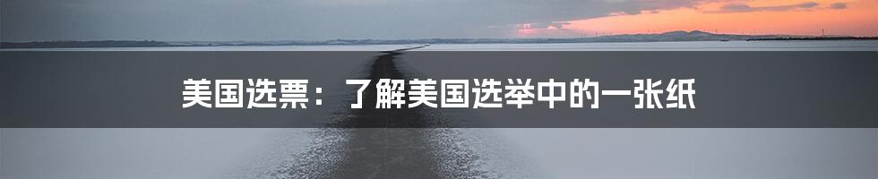 美国选票:了解美国选举中的一张纸