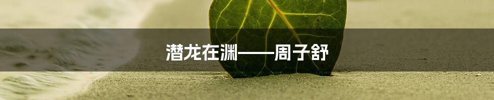 潜龙在渊——周子舒