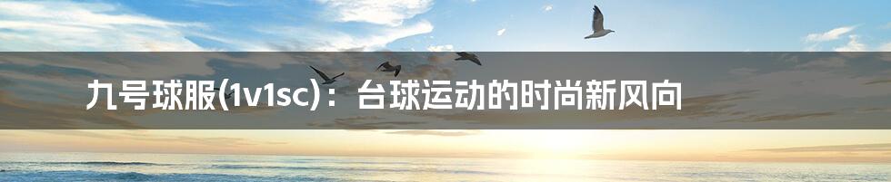 九号球服(1v1sc):台球运动的时尚新风向